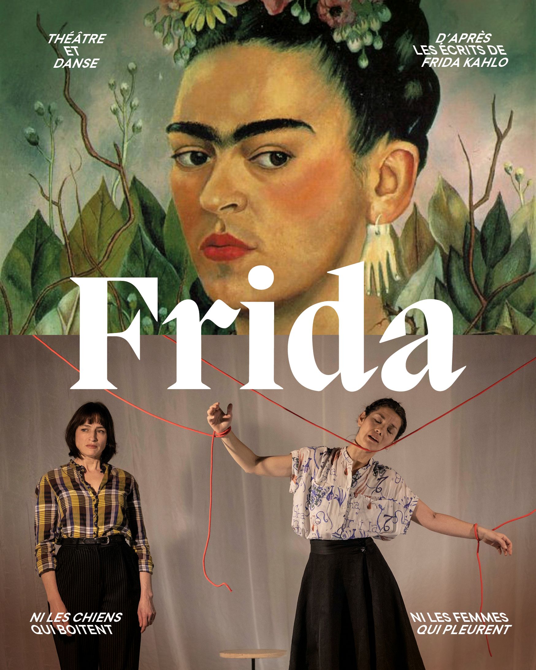 Frida visuel post